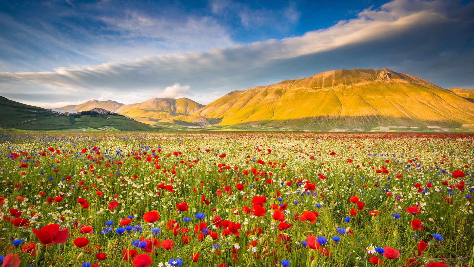 Castelluccio Umbria