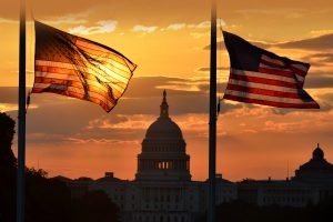 Flag Day Capitol