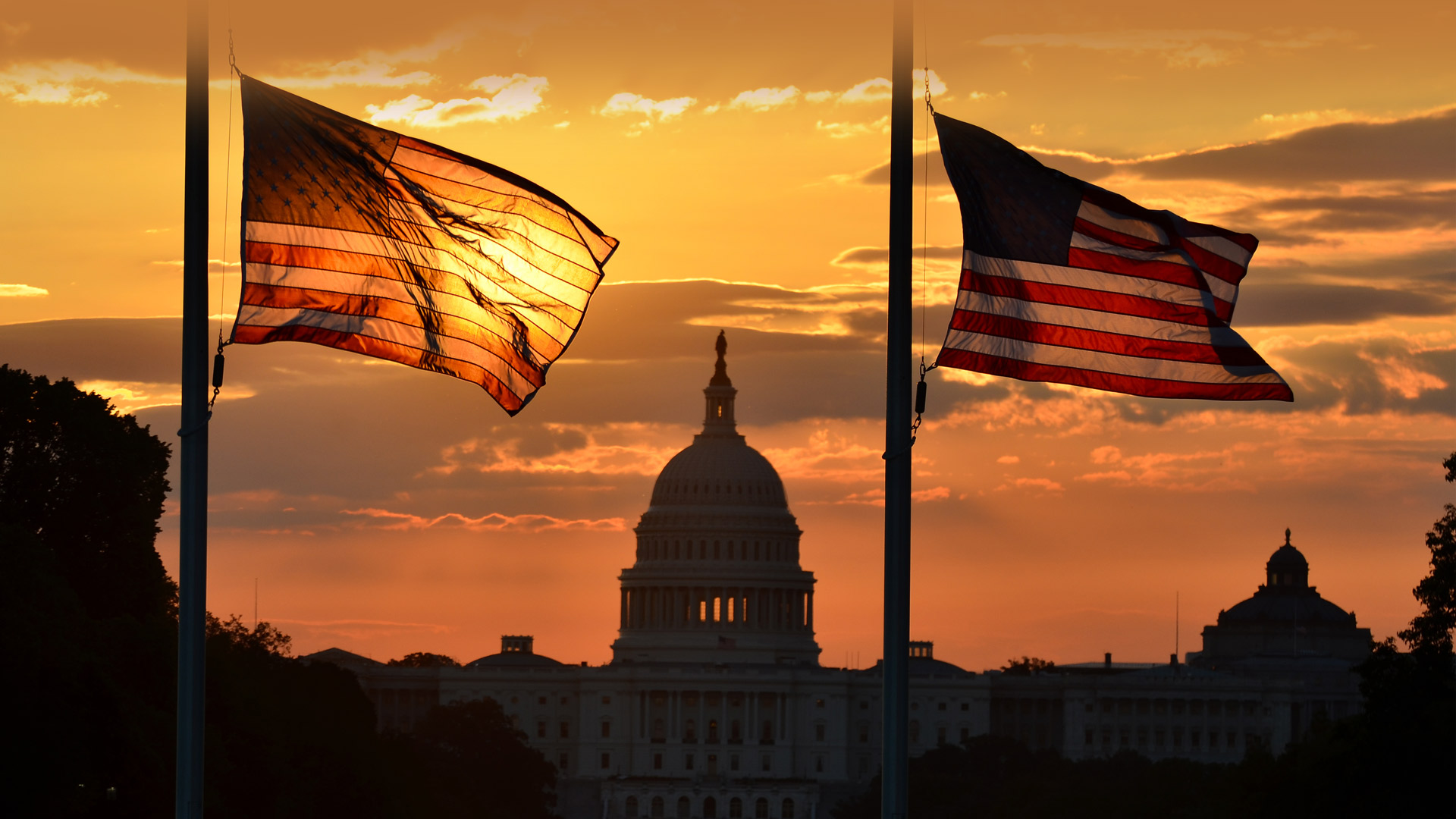 Flag Day Capitol