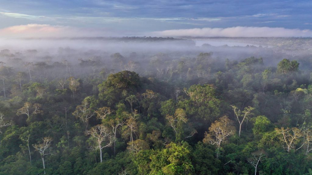 Peru Amazon
