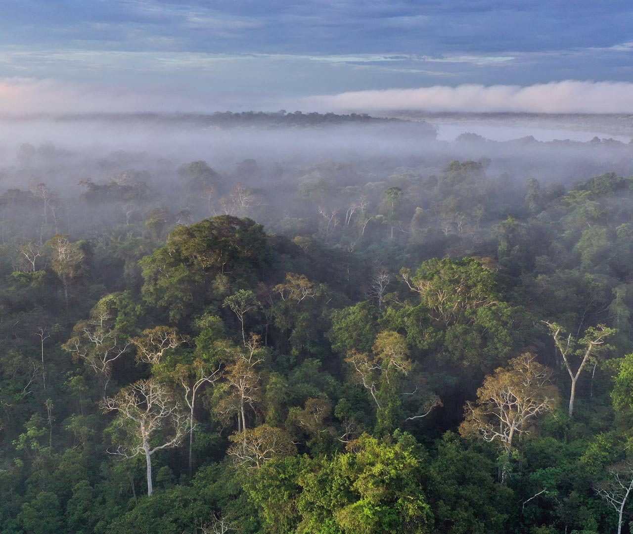 Peru Amazon – Bing Wallpaper Download