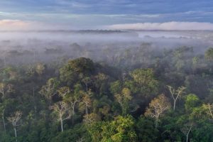 Peru Amazon