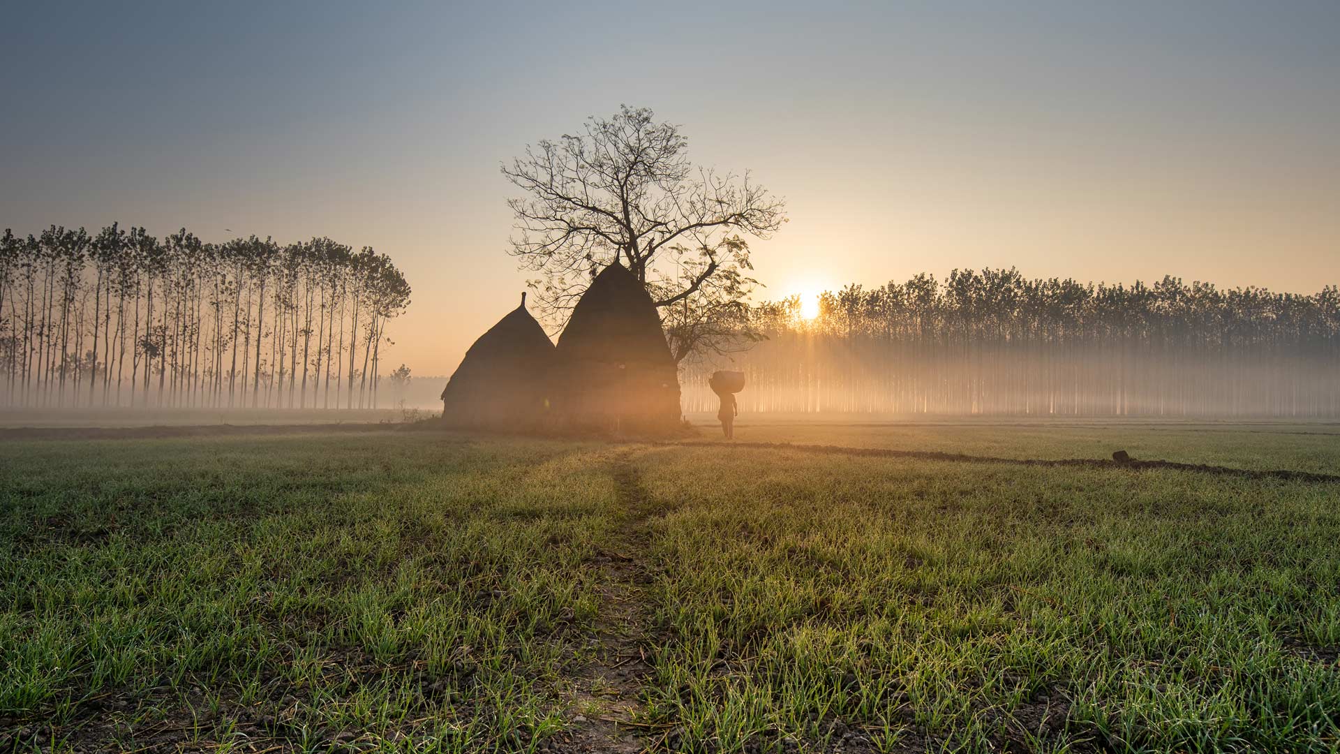 Rural Punjab