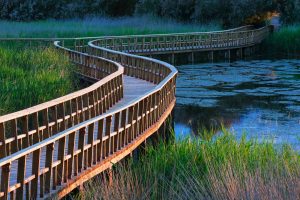 Tablas De Daimiel