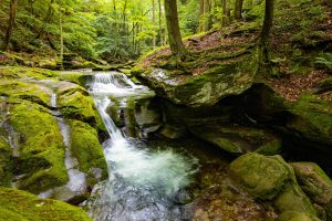 Bear Hole Brook