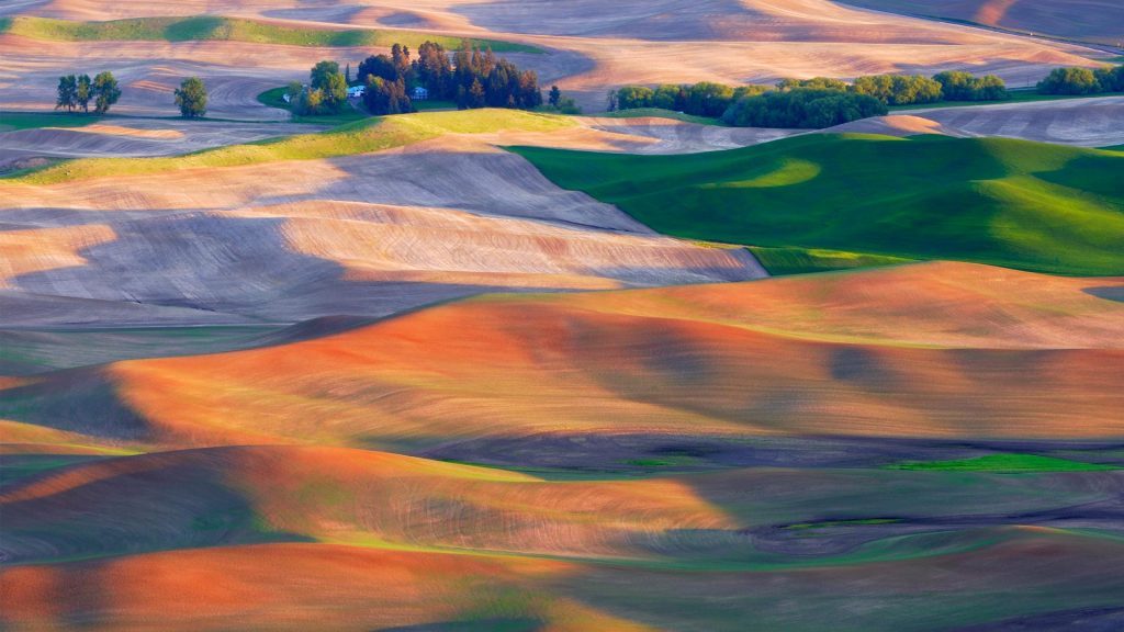 Palouse Hills