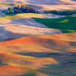 Palouse Hills