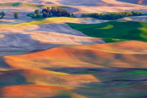 Palouse Hills