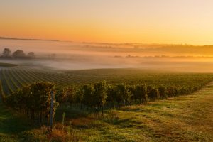 Marathon Medoc