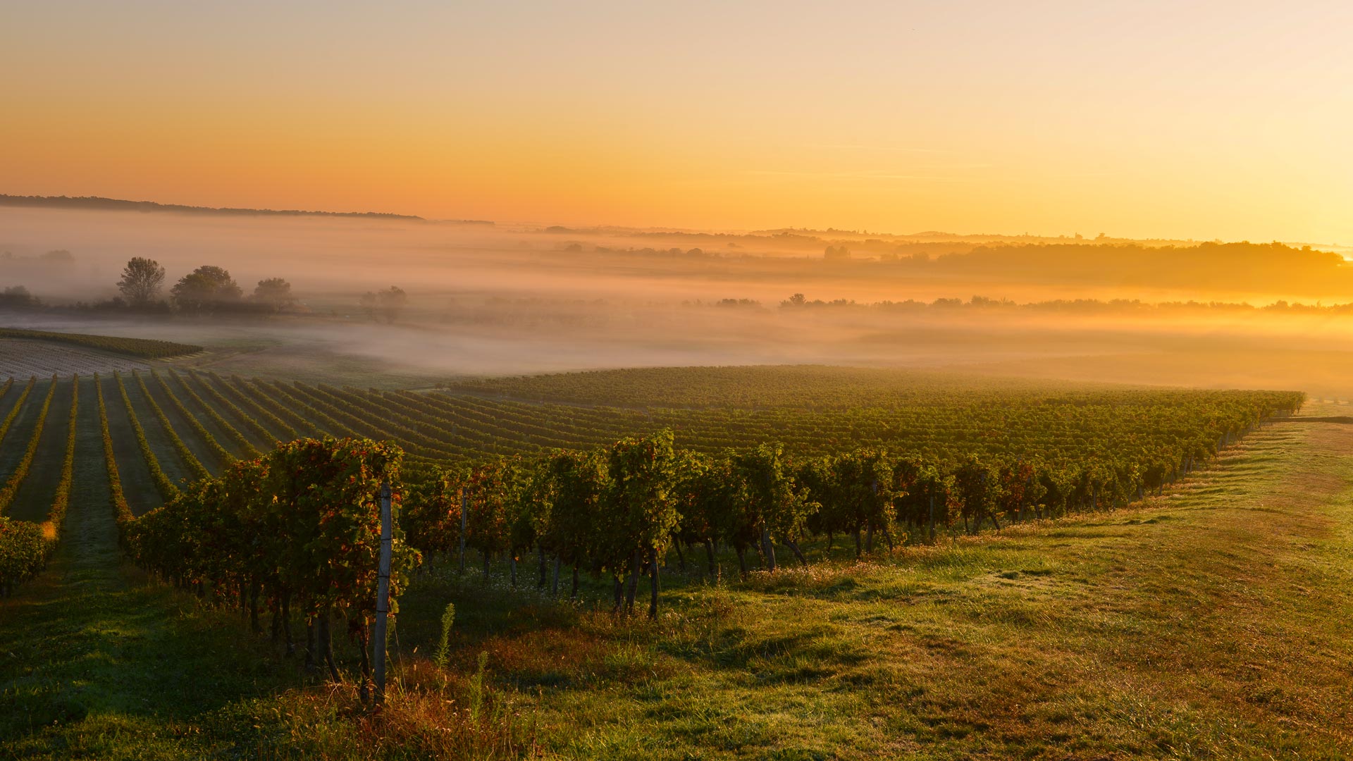 Marathon Medoc