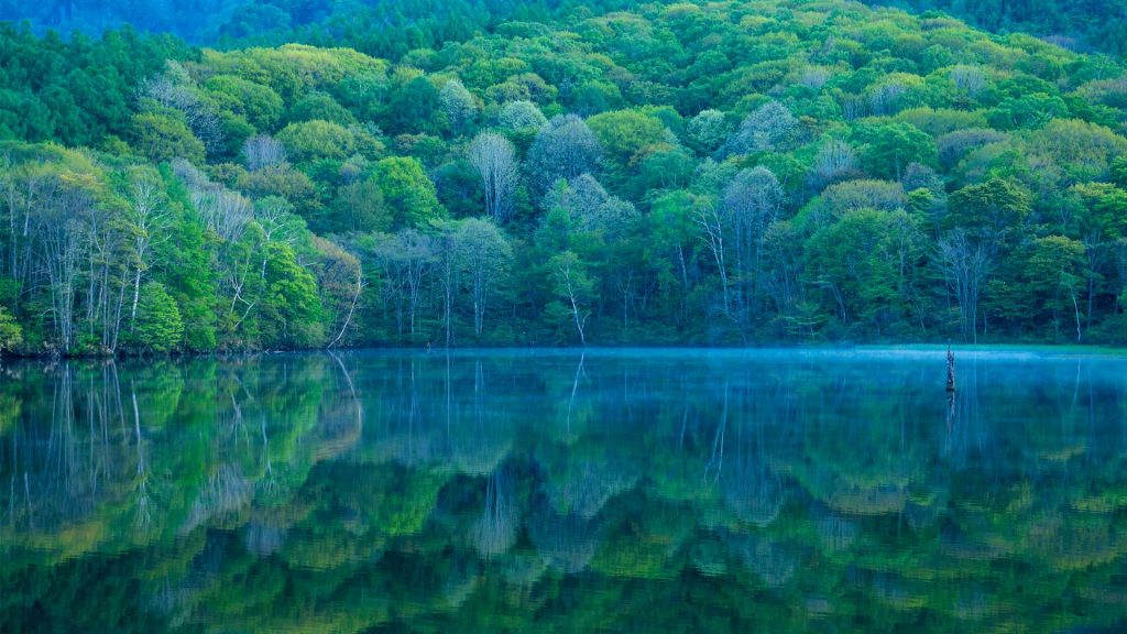 Nagano Pond