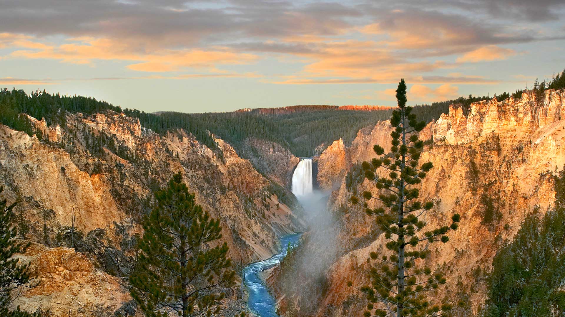 Yellowstone Falls