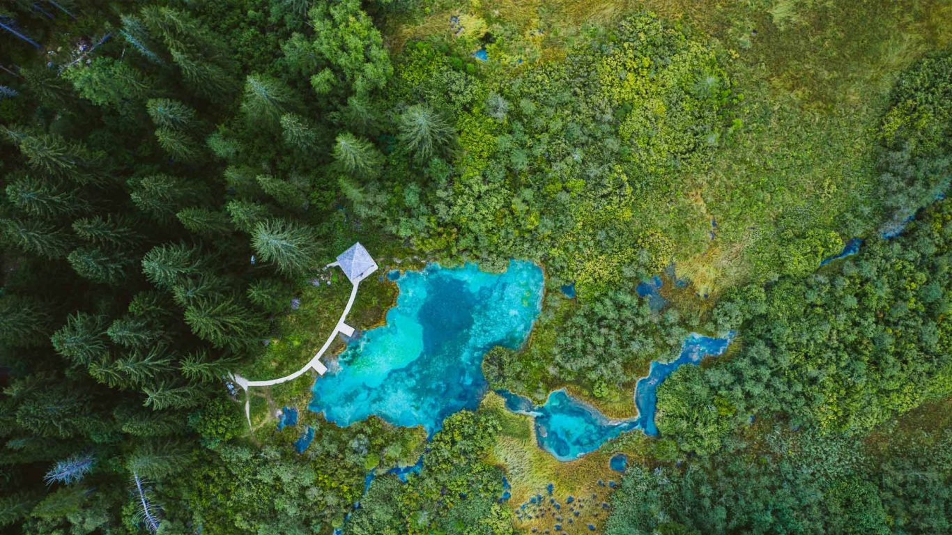 Zelenci Springs – Bing Wallpaper Download