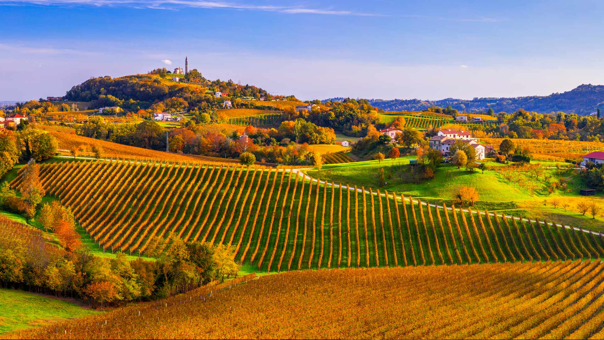 Prosecco Hills