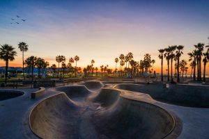 Venice Skate Park