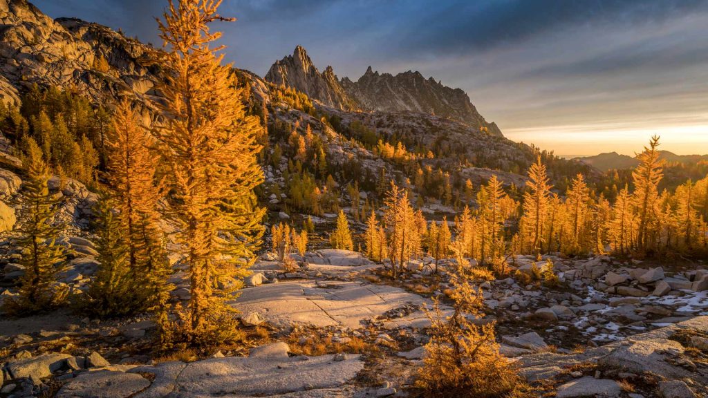 Golden Enchantments