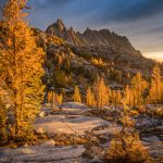 Golden Enchantments