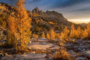 Golden Enchantments