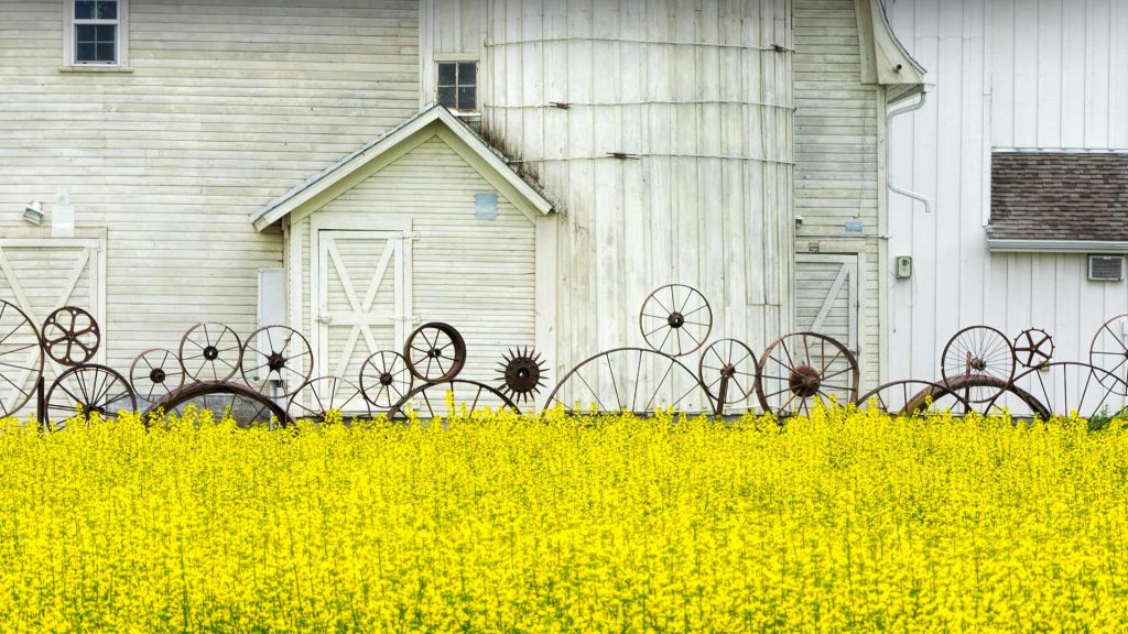 Idaho Barn