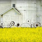 Idaho Barn