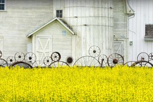 Idaho Barn