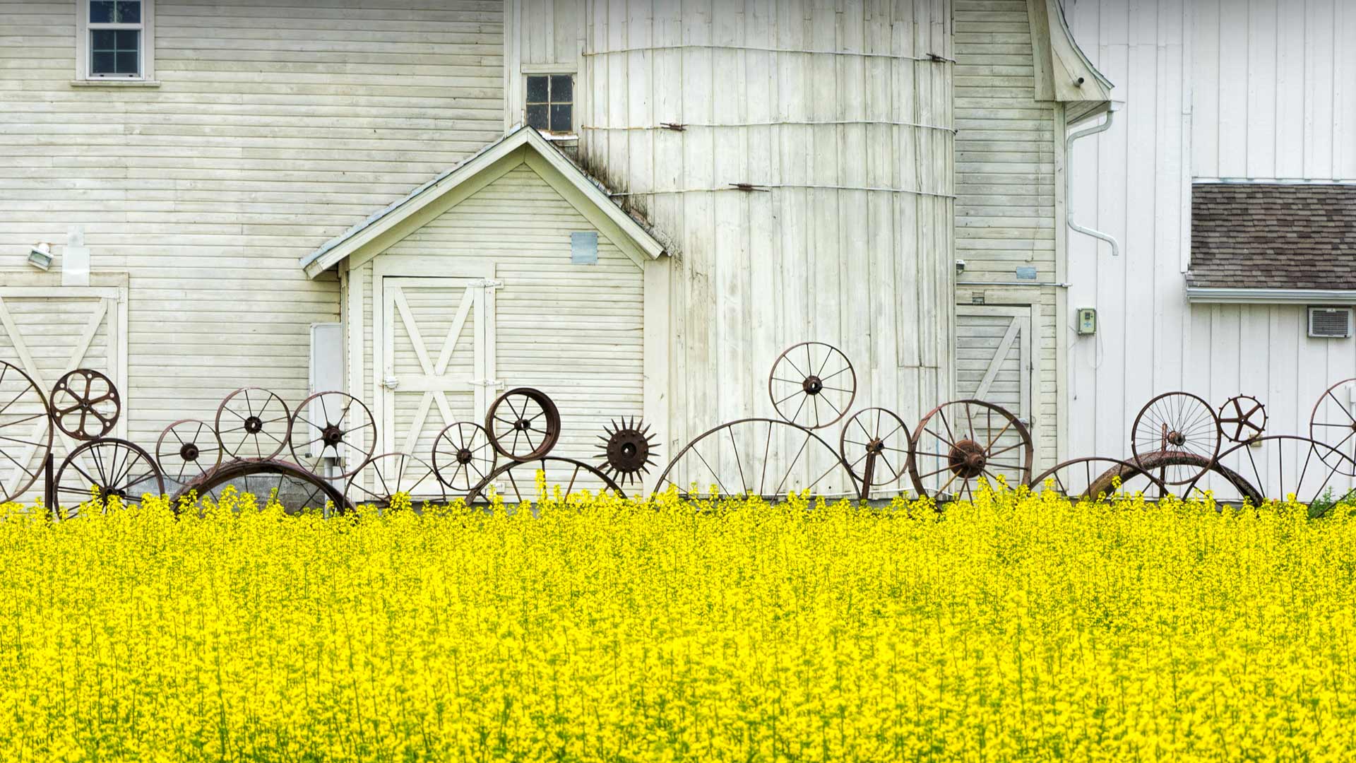 Idaho Barn