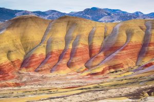 John Day Fossil