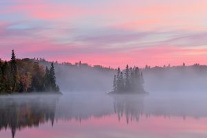 Kenny Lake