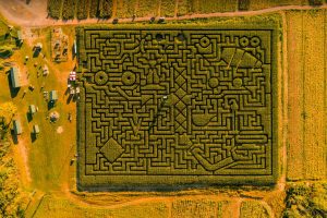 Poconos Maze