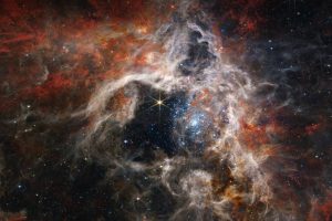 Tarantula Nebula