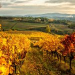 Chianti Tuscany