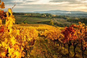 Chianti Tuscany