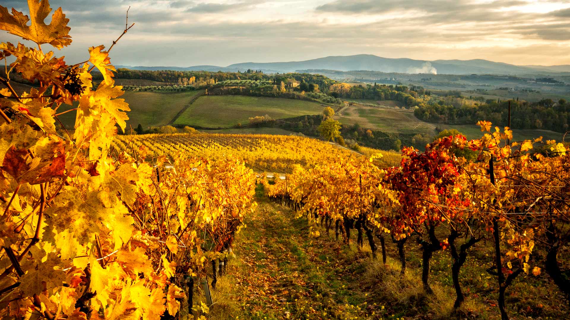 Chianti Tuscany