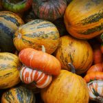 Pumpkins Squash