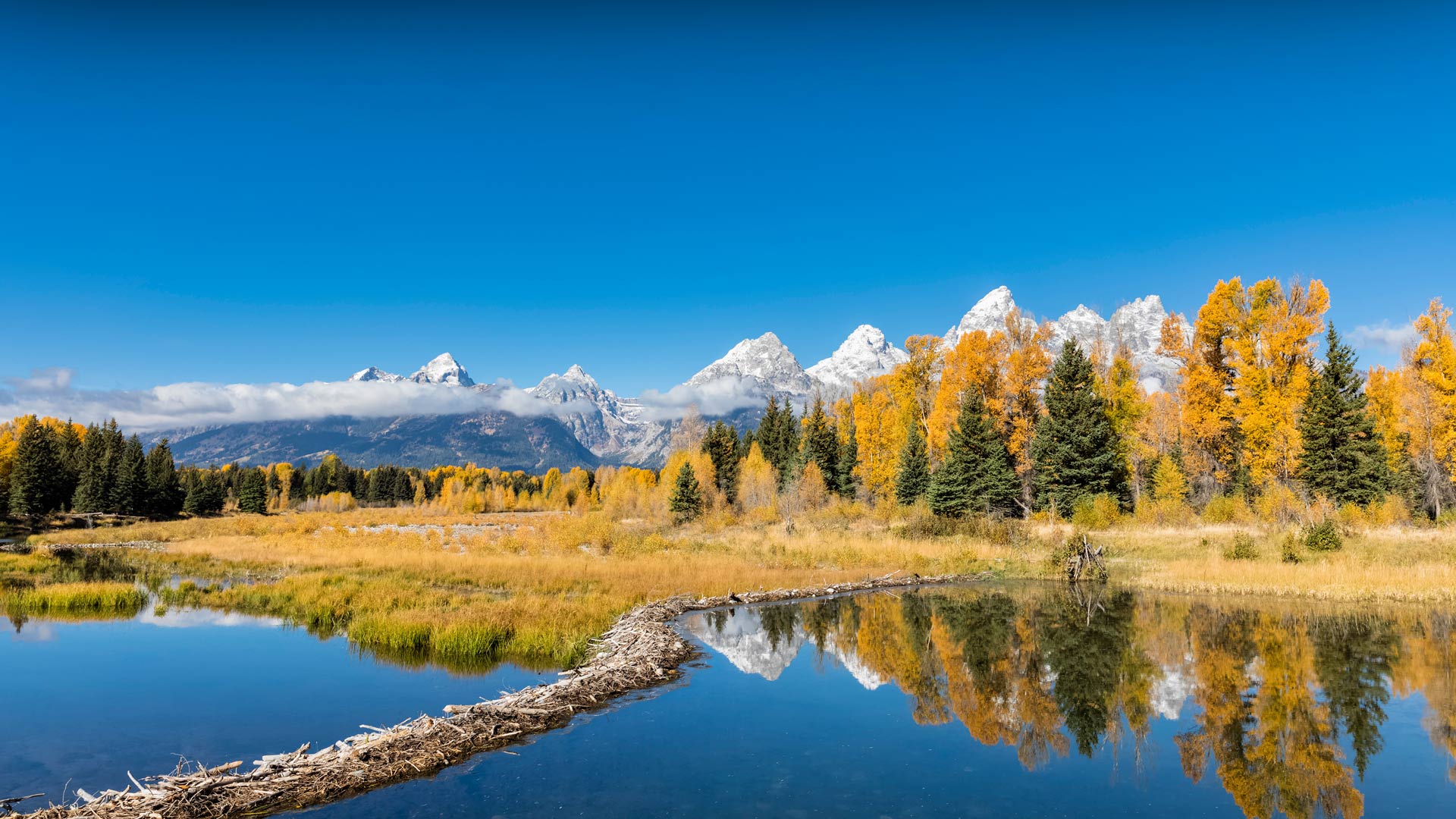 Snake River Teton