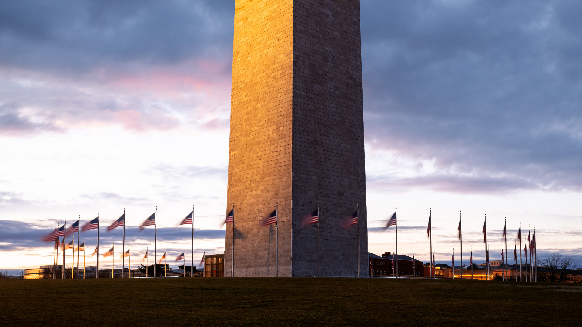 Veterans Day DC