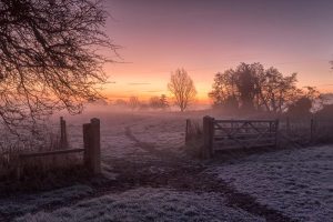 Boxing Day Sunrise