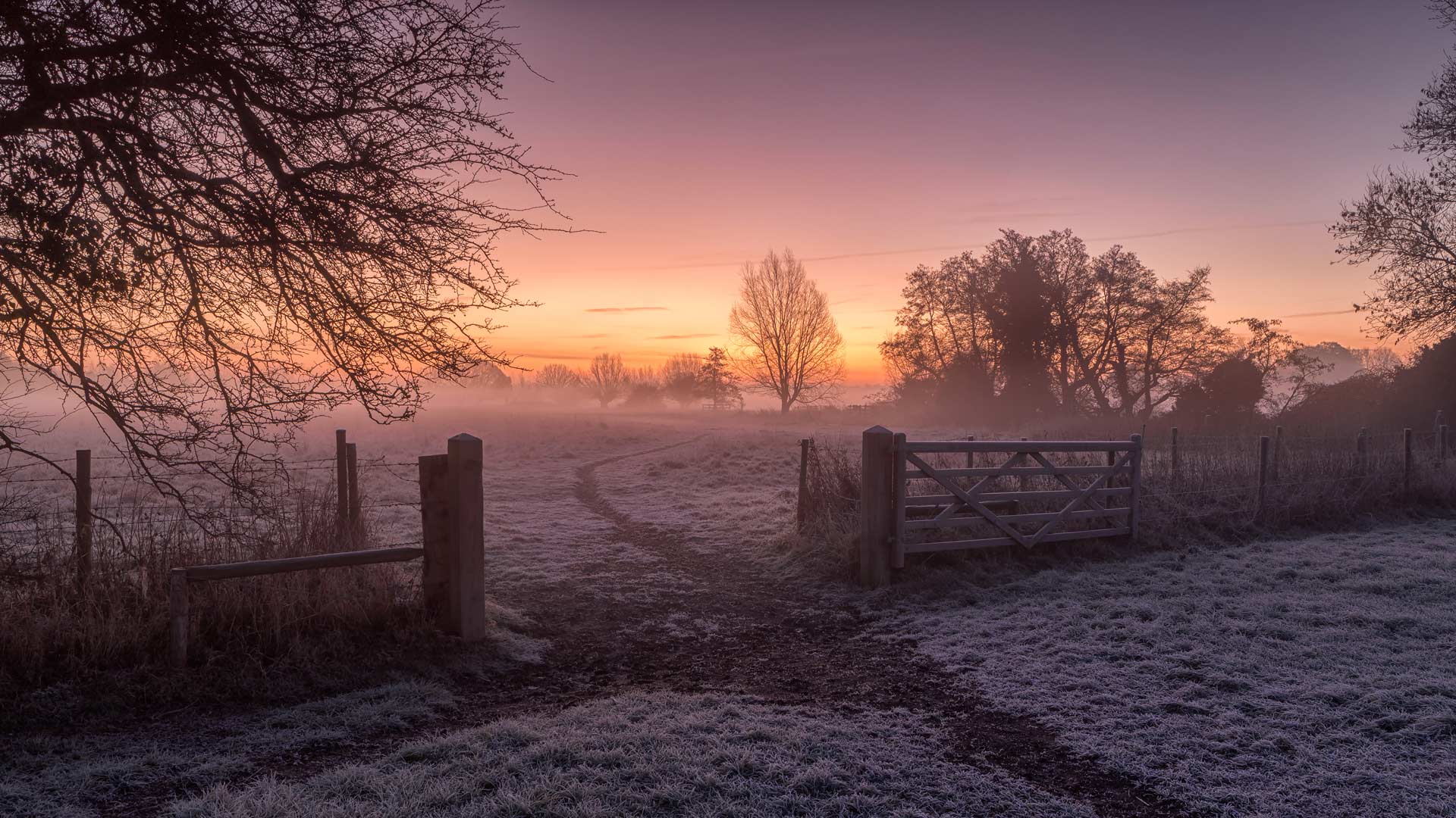 Boxing Day Sunrise