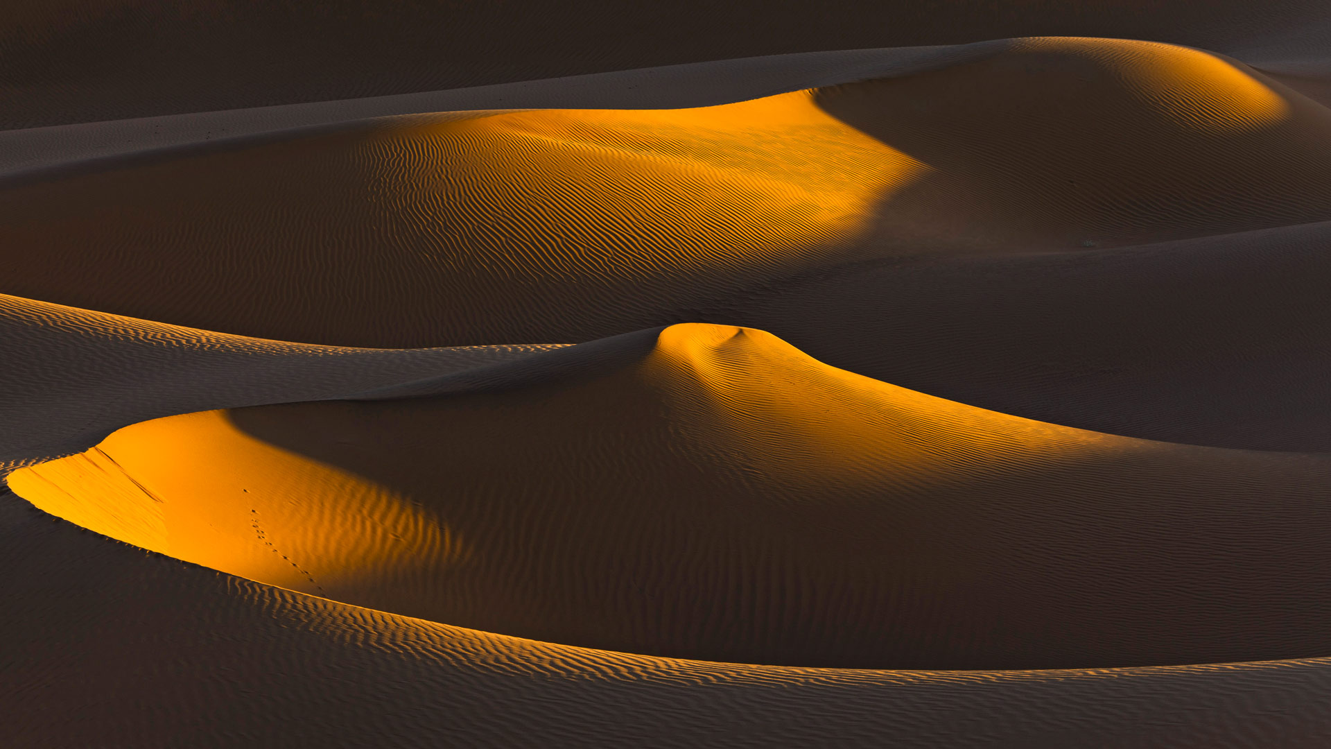 Sahara Dunes