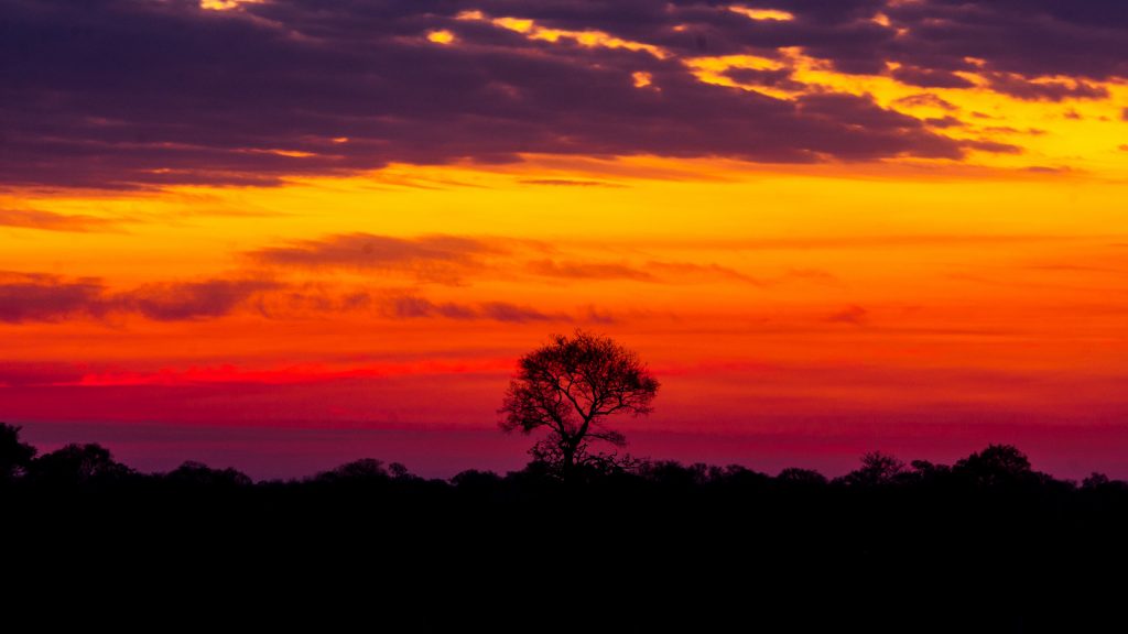 Sunset Pantanal