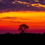 Sunset Pantanal