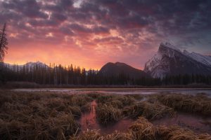 Vermilion Lakes CA