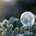 Frozen Soap Bubble