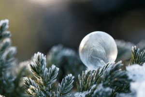 Frozen Soap Bubble