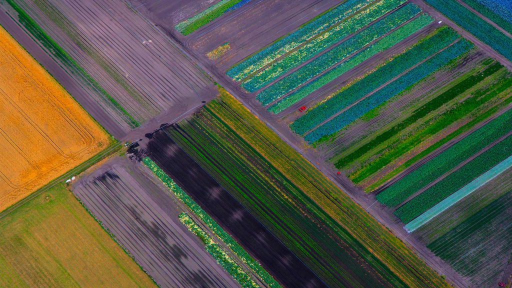 View Fields Bavaria