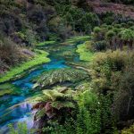 Waikato Water