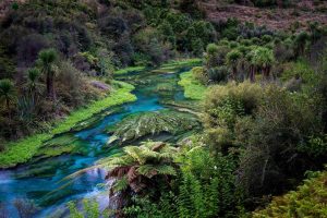 Waikato Water