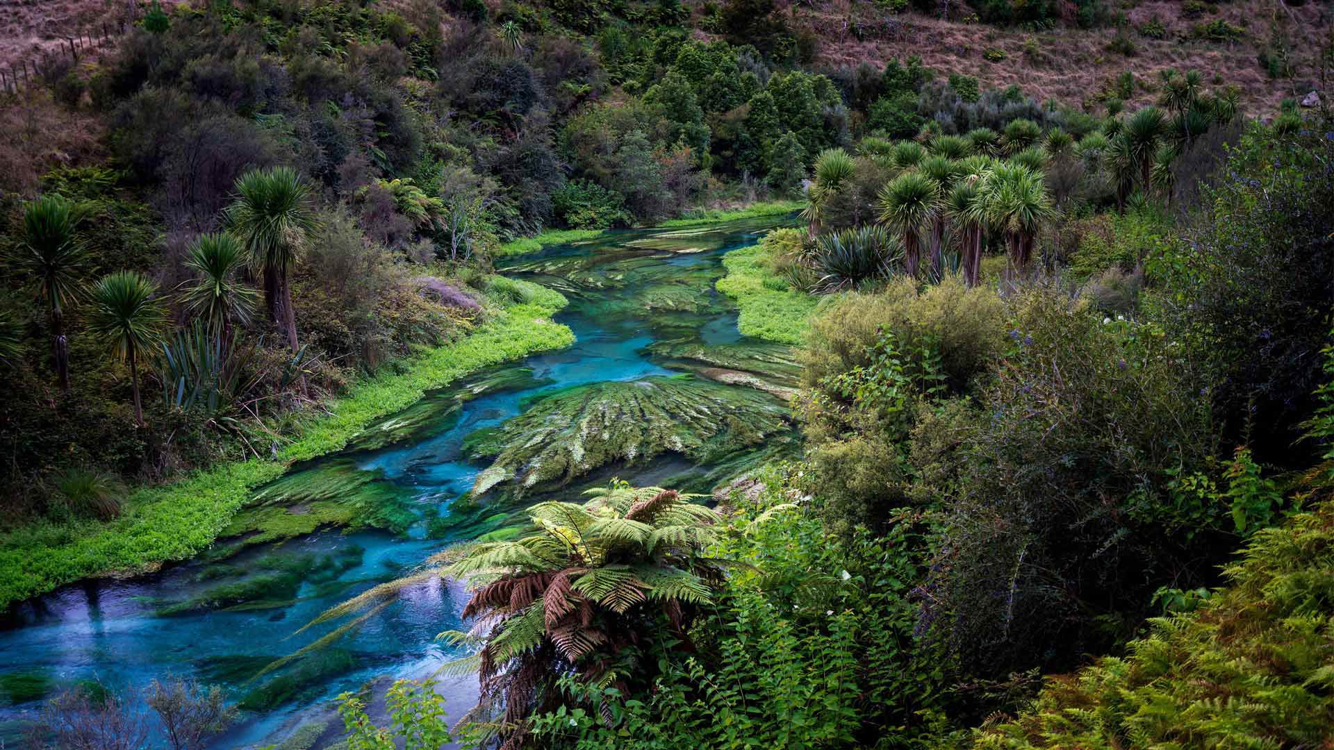 Waikato Water