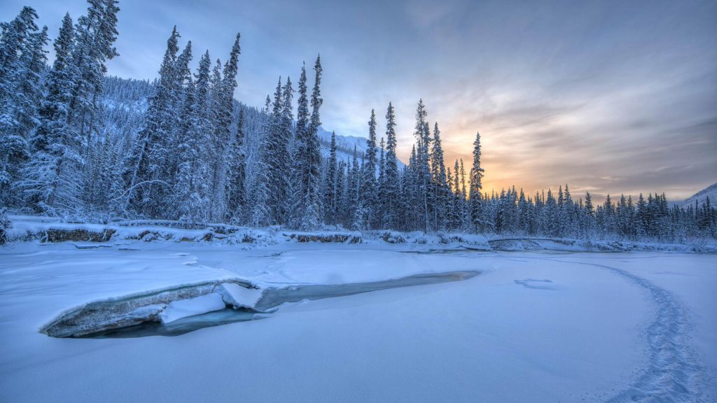 Wheaton River Yukon