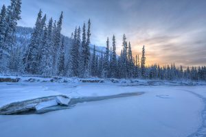 Wheaton River Yukon